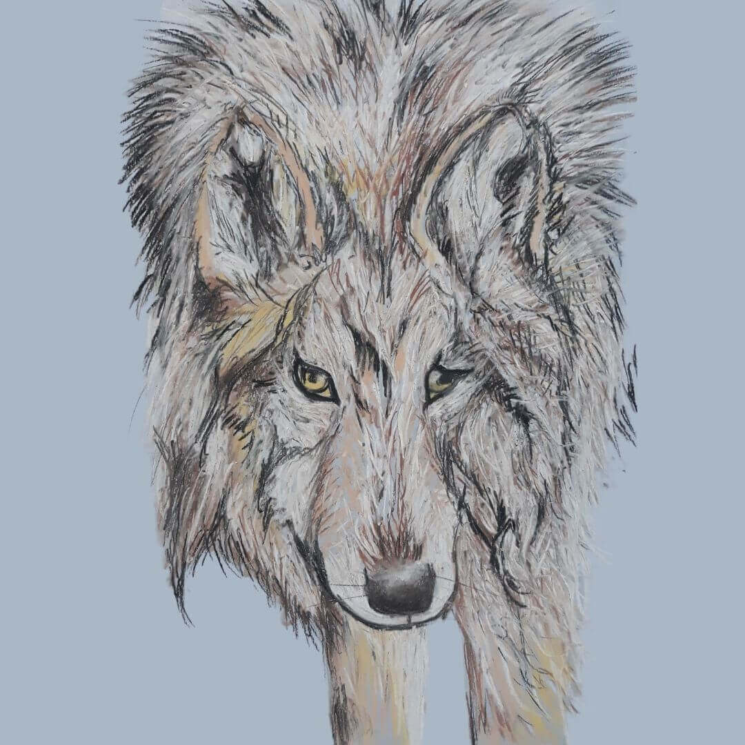 Rysujemy wilki w Malowanej Kuźni